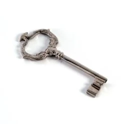 Double Dolphin Key-Nickel