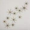 S/12 Etoile Wall Decor-Brass -Online Home Decor 31739
