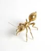 Pharoah Ants-Antique Brass -Online Home Decor 35095