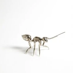 Pharoah Ant-Antique Nickel -Online Home Decor 36209