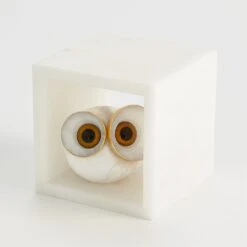 Alabaster Big Eyed Owl In Cube -Online Home Decor 59694