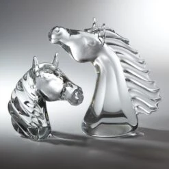 Thoroughbred Horse Head