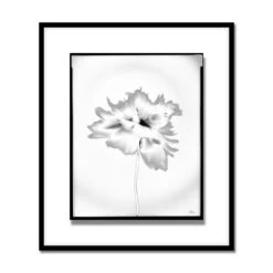 Len Prince Photography-Poppy Series -Online Home Decor 61621