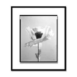Len Prince Photography-Poppy Series -Online Home Decor 61622