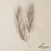 Palm Leaf-Antique Nickel -Online Home Decor 62558