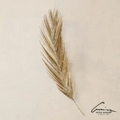 Palm Leaf-Antique Brass -Online Home Decor 62567