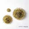Urchin Wall Art-Gold -Online Home Decor 65640