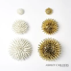 Urchin Wall Art-White -Online Home Decor 65648