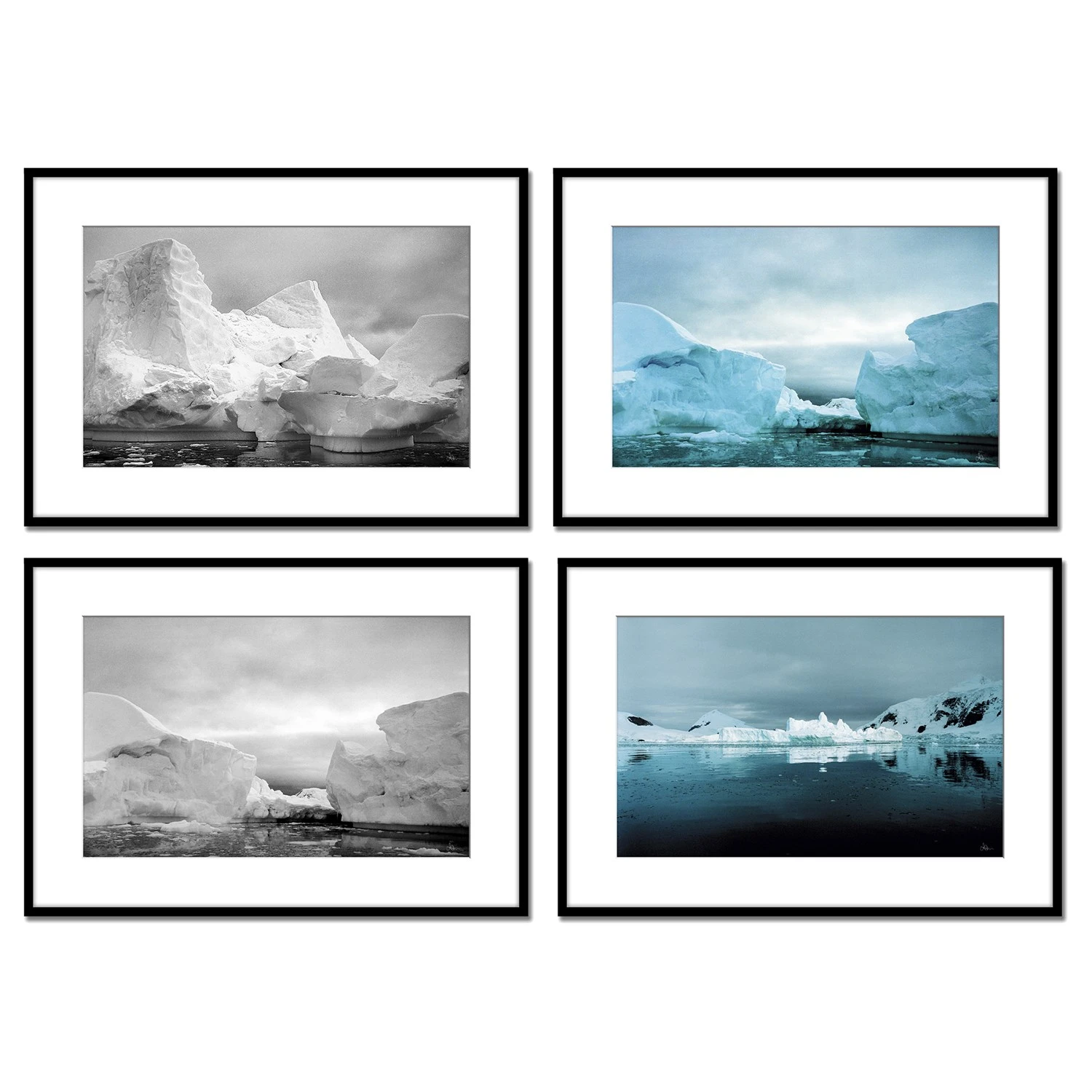 Len Prince Photography-Artic 3 Len Prince Photography-Artic