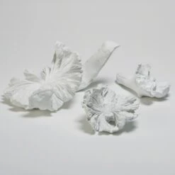 Volcano Flowers-White