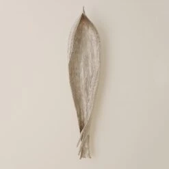 Palm Seed Pod-Nickel
