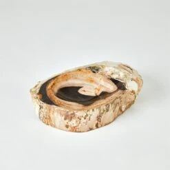 Petrified Bowls -Online Home Decor 72157