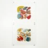 Fused Glass Wall Panel Collection