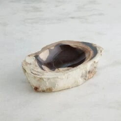 Petrified Bowls -Online Home Decor 73891