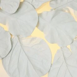 Fiddle Fig Lighted Wall Decor-White 8 Fiddle Fig Lighted Wall Decor-White -Online Home Decor 82600