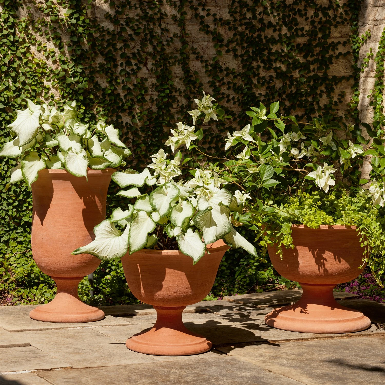Villa Chalice Collection-Terracotta 10 Villa Chalice Collection-Terracotta - Image 8