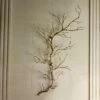 Twig Wall Art-Brass